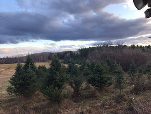 Meet your Posher, Kenny